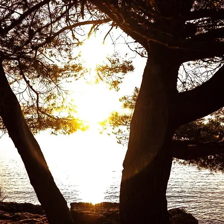 Infinity - Luxurious Seaview With Enchanting Pool 别墅 *